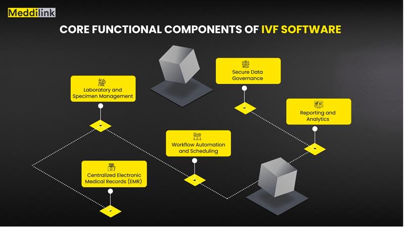 IVF software functional components