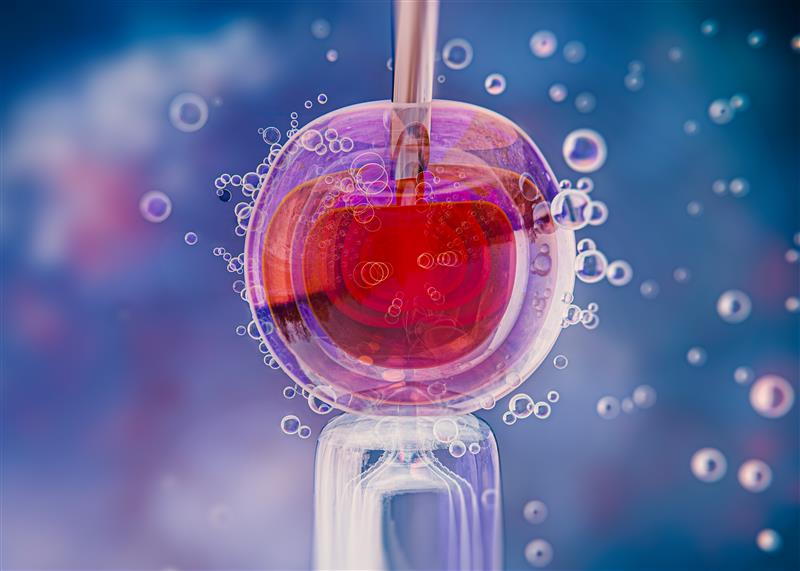 Why a Specialized Embryology Module is Critical in Modern IVF Clinics